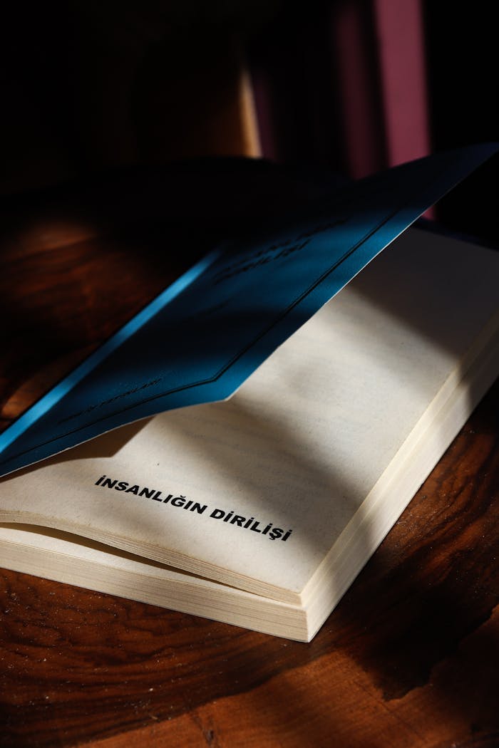 An open book with a blue cover sits on a wooden table, sunlit, creating a warm, reflective mood.